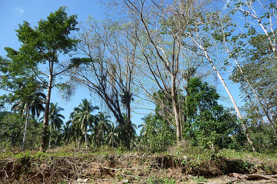 P1000607.jpg