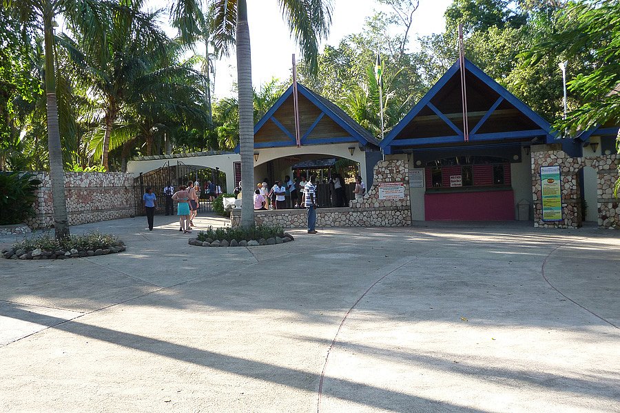 P1000629.jpg