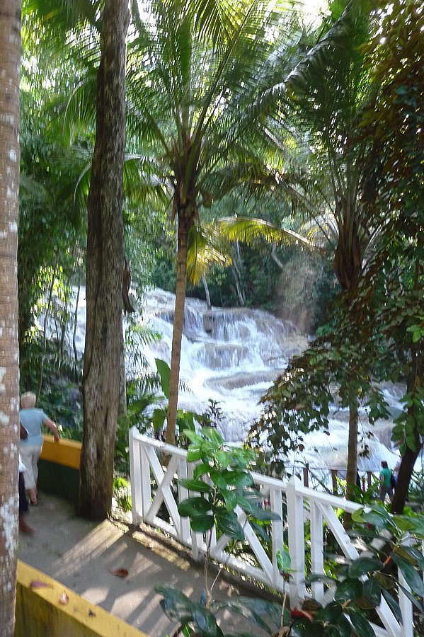 P1000633.jpg