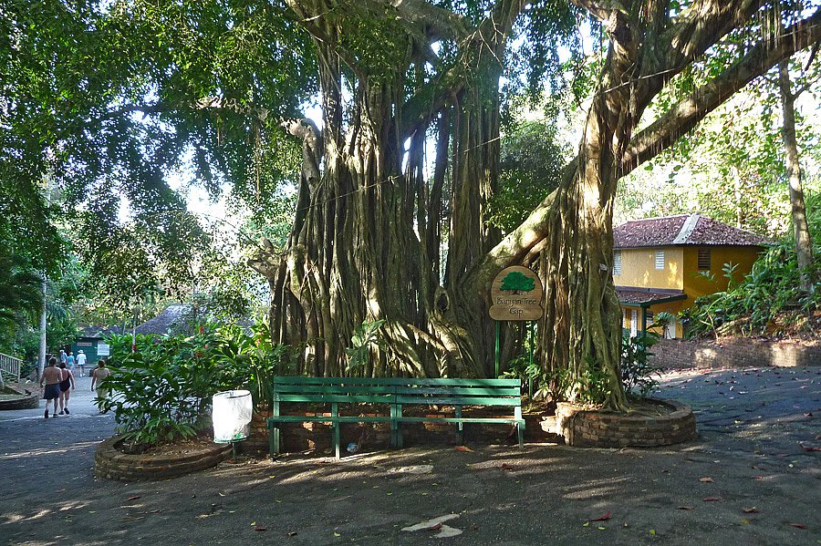 P1000634.jpg