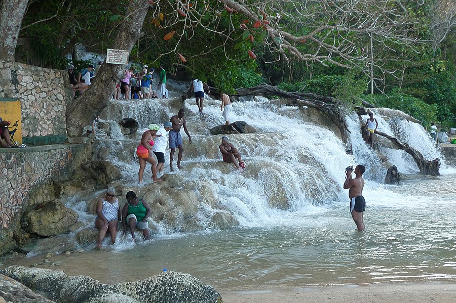 P1000636.jpg