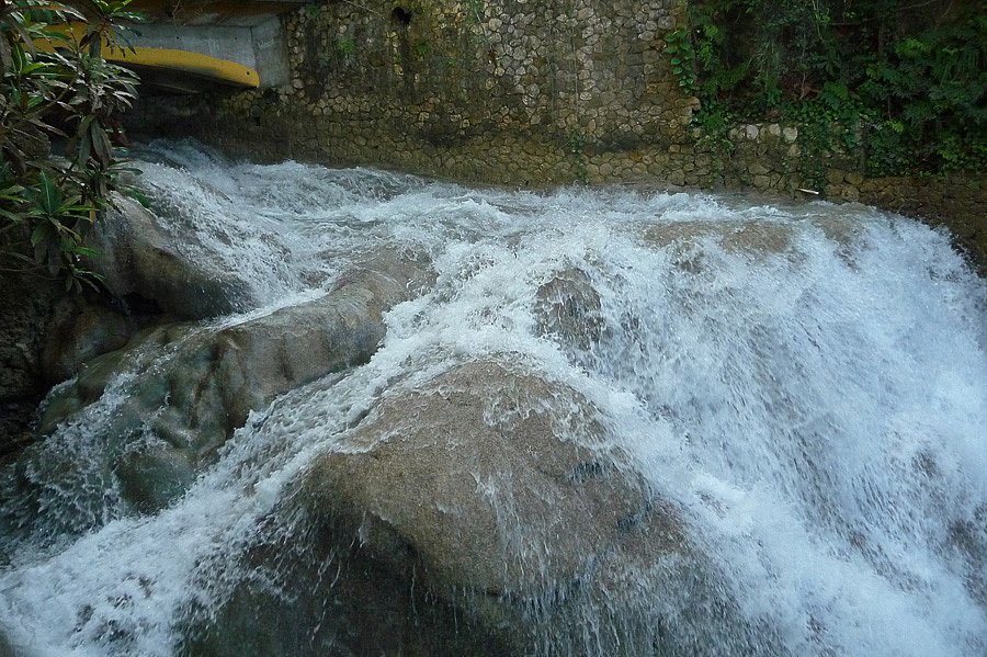 P1000641.jpg