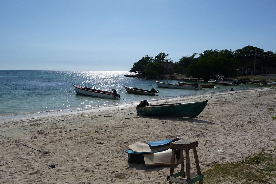 P1010023.JPG