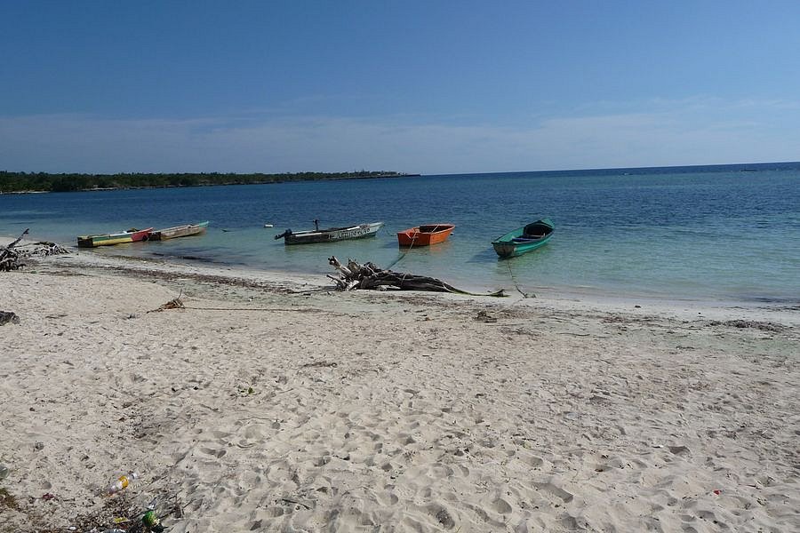 P1010024.JPG
