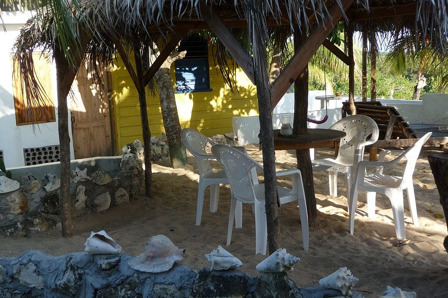 P1010065.JPG