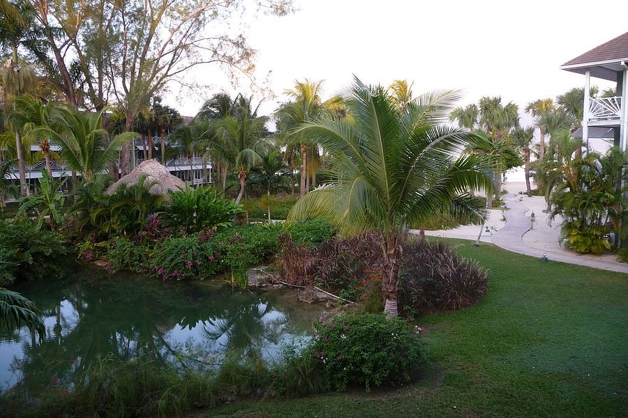 P1000957.JPG