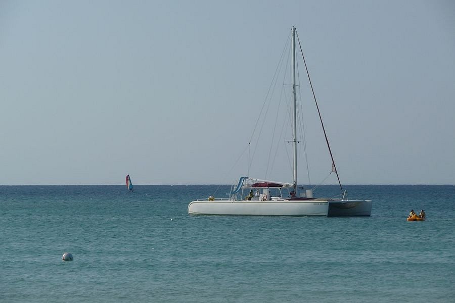 P1010010.JPG