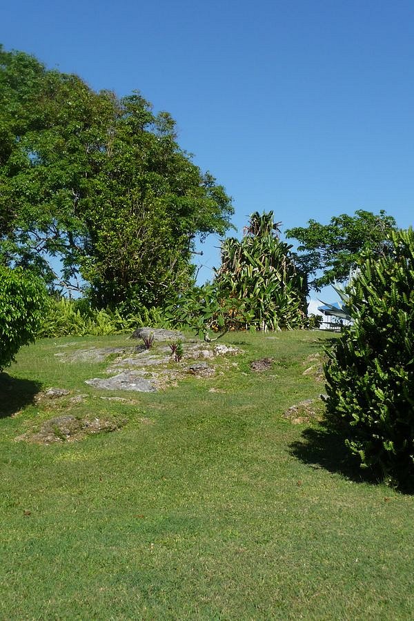 P1010624.JPG