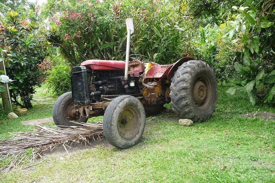 P1010647.JPG
