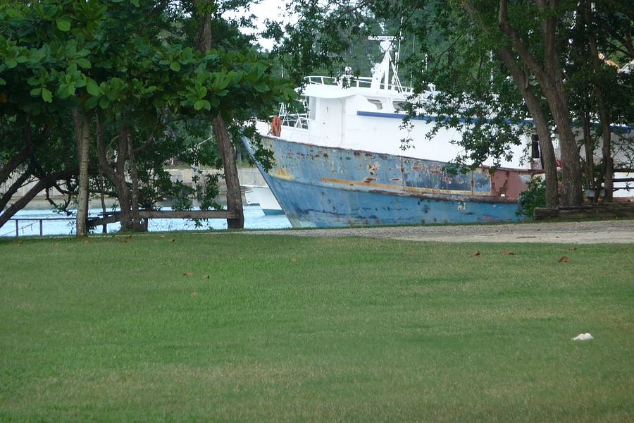 P1010657.JPG