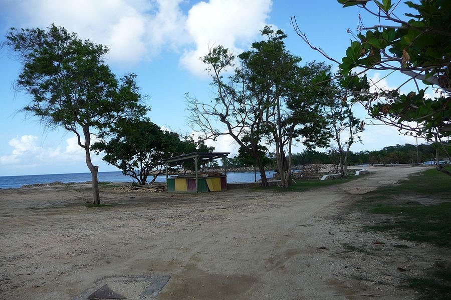 P1010658.JPG