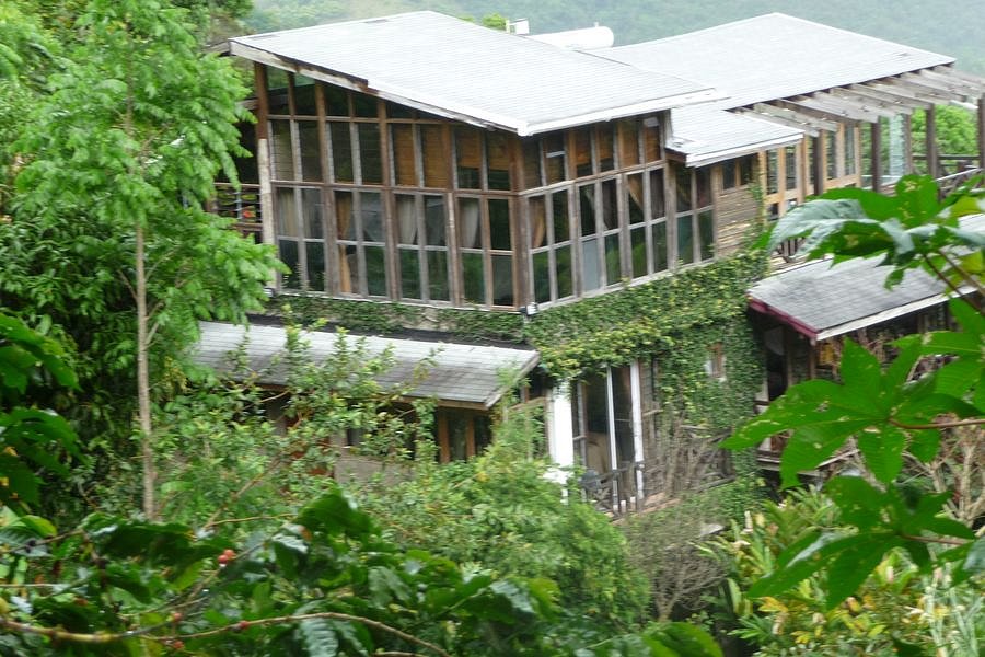 P1010384.JPG