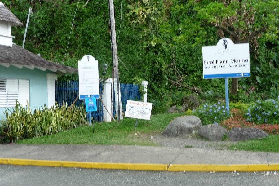 P1010419.JPG