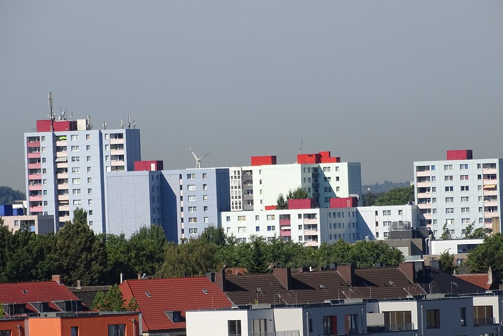 DSC00248.JPG