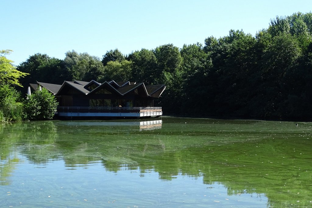 DSC00343.JPG