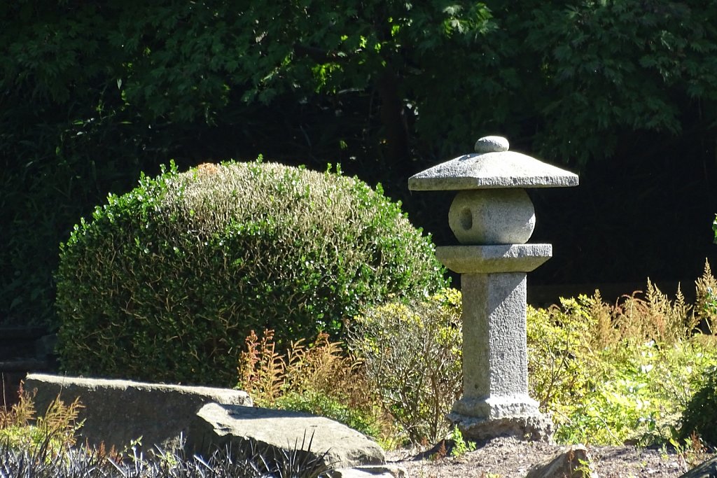 DSC00360.JPG