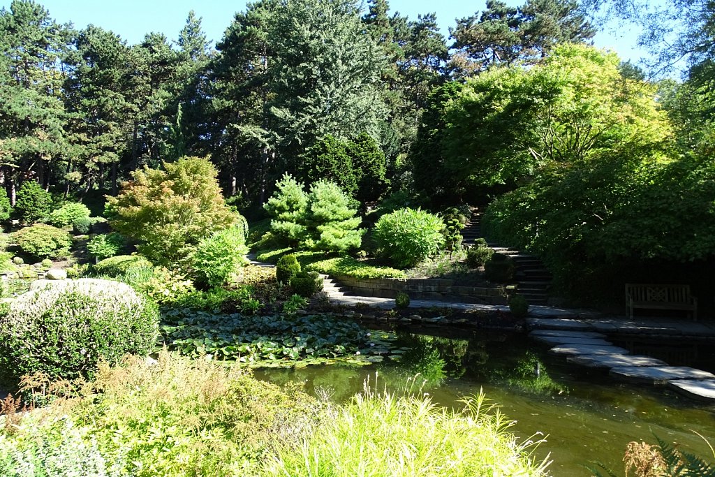 DSC00363.JPG