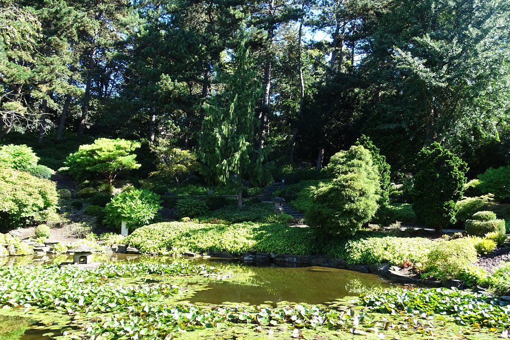 DSC00368.JPG
