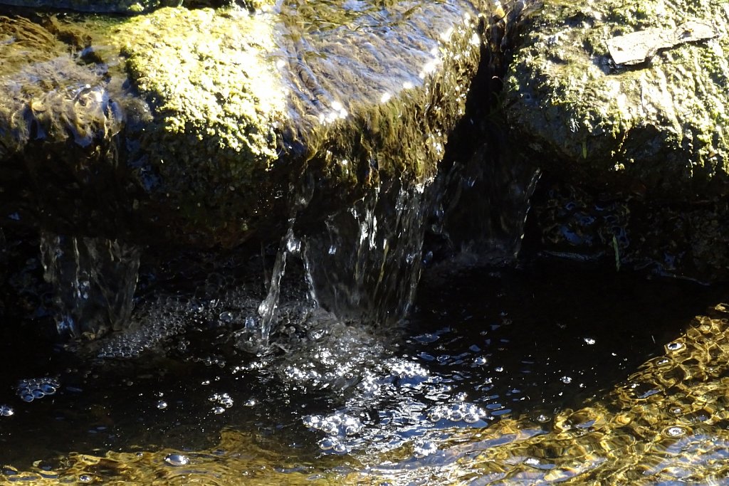 DSC00370.JPG