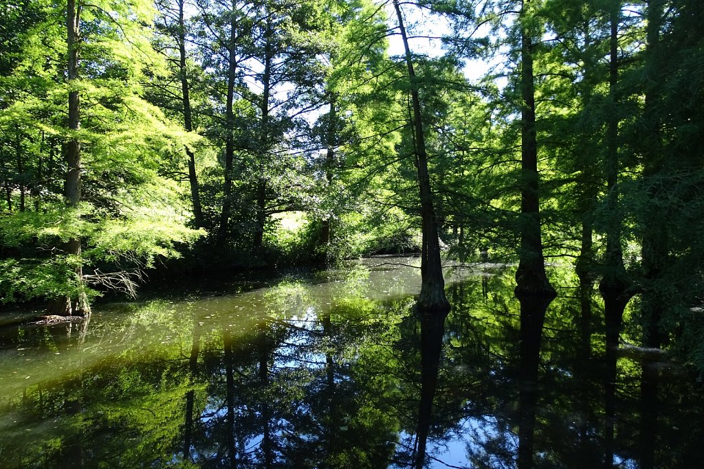 Westfalenpark 2016