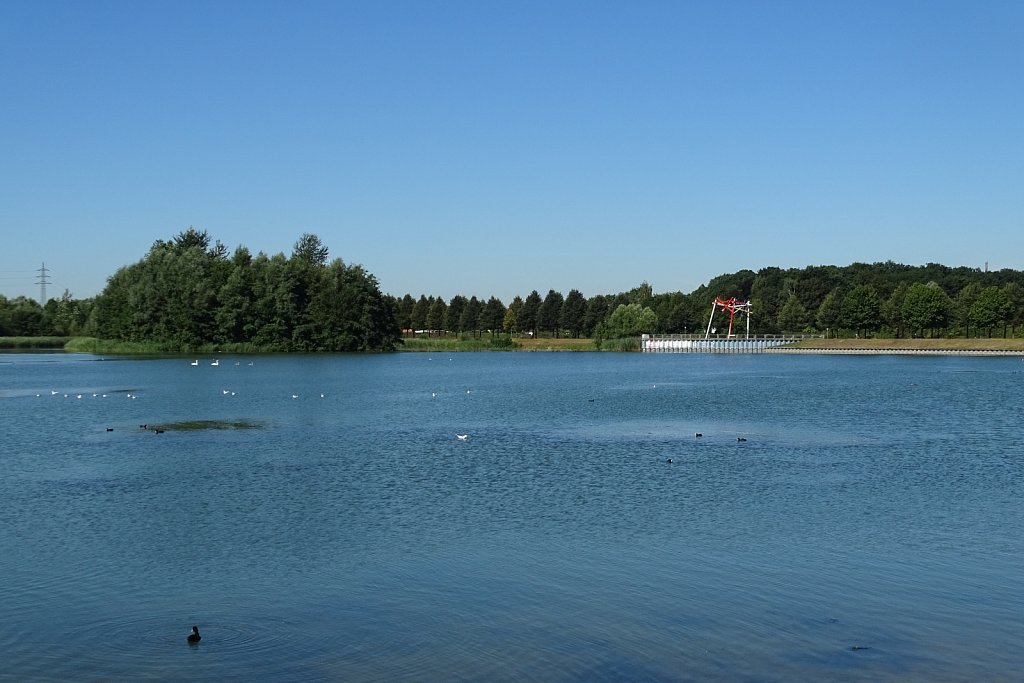 DSC00478.JPG