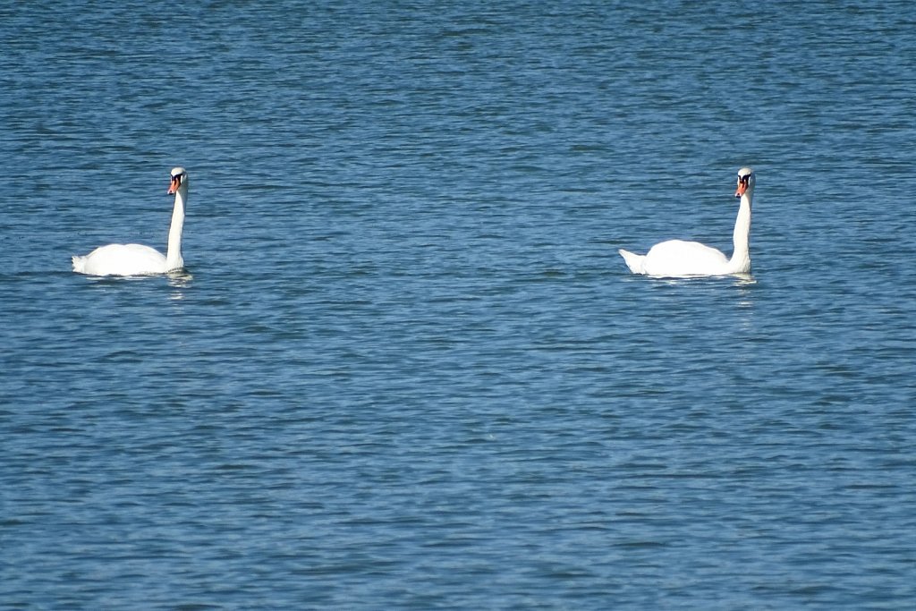 DSC00481.JPG