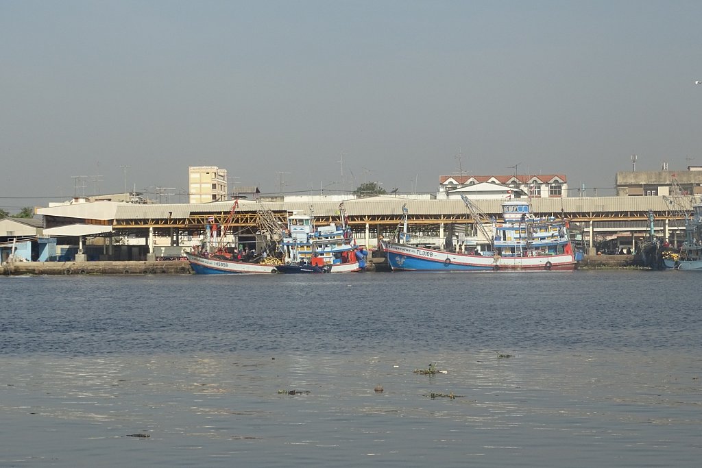 DSC01416.JPG