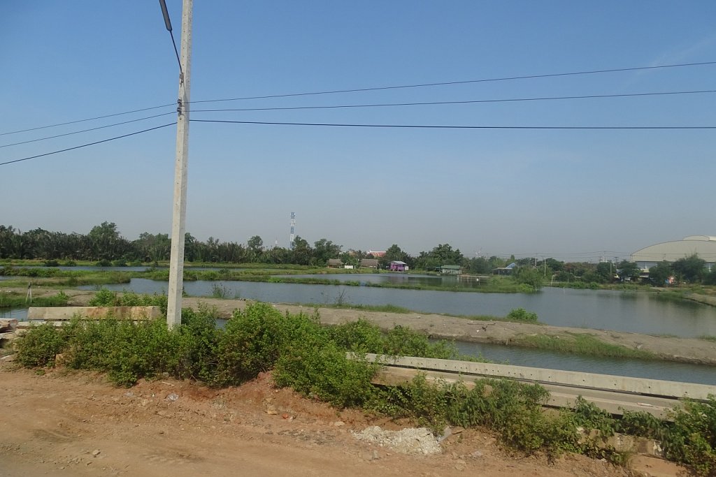DSC01423.JPG
