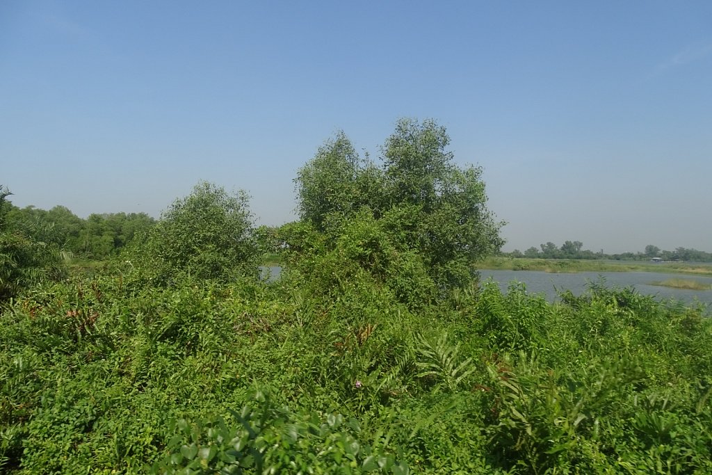 DSC01426.JPG