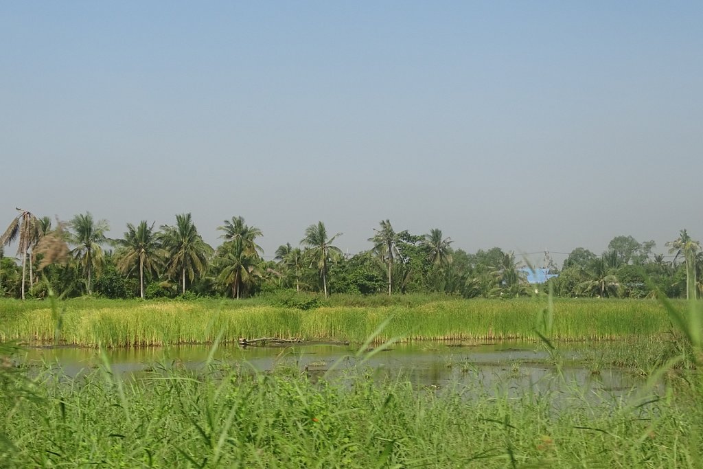 DSC01428.JPG