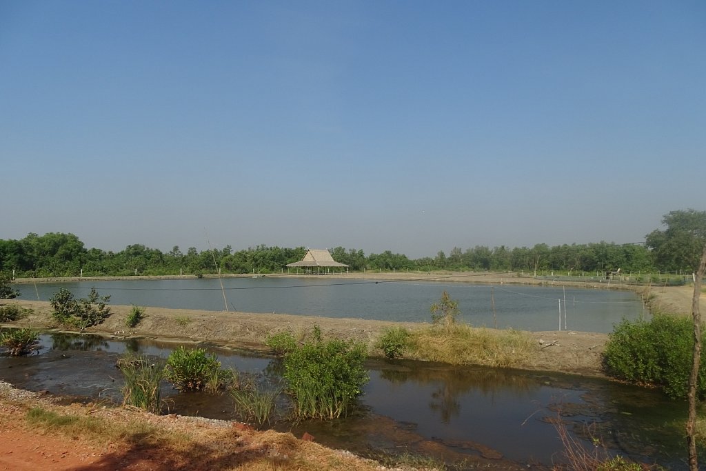 DSC01435.JPG
