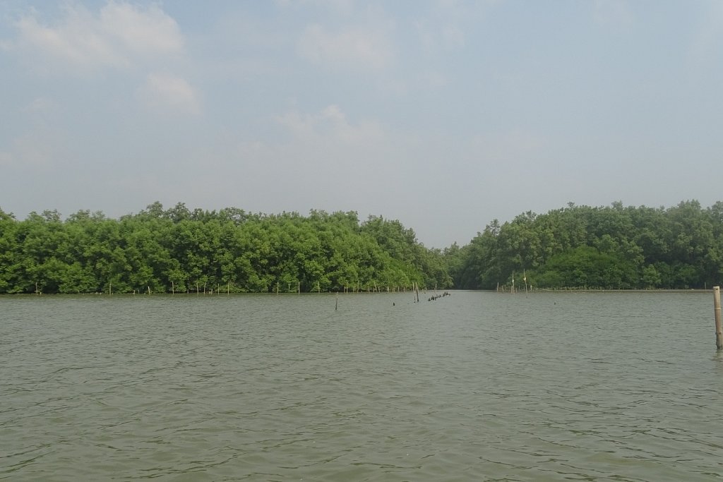 DSC01475.JPG