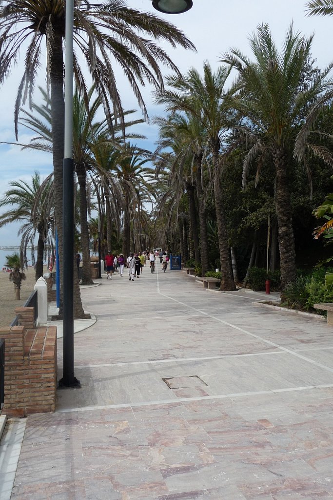 P1020127.JPG