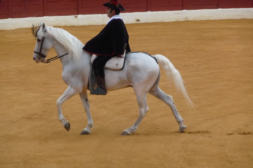 P1020164.JPG