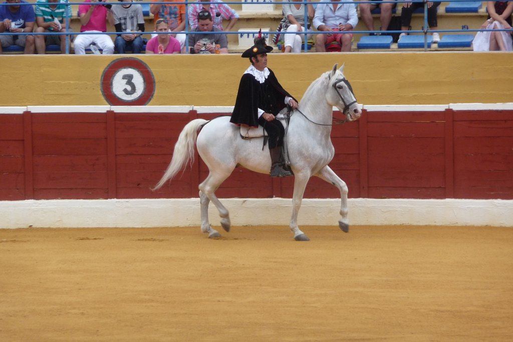 P1020166.JPG