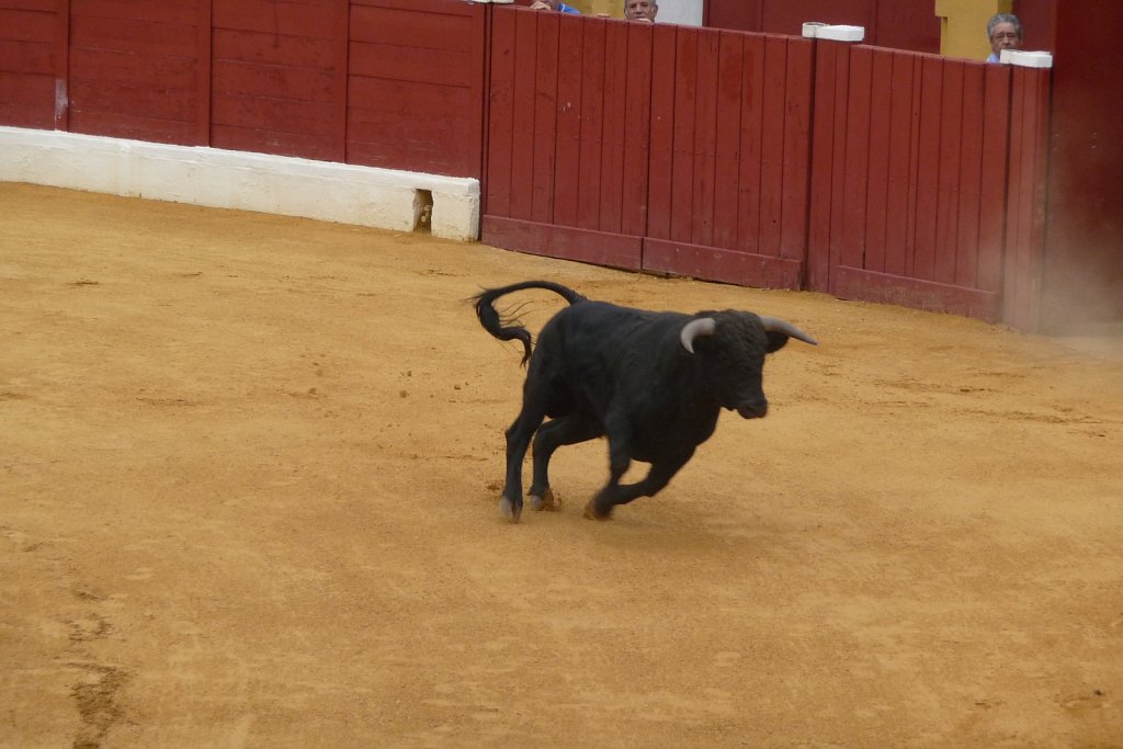 P1020175.JPG