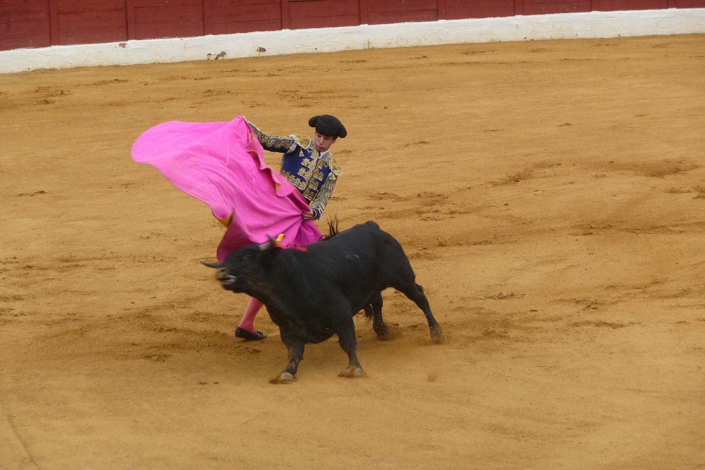 P1020178.JPG