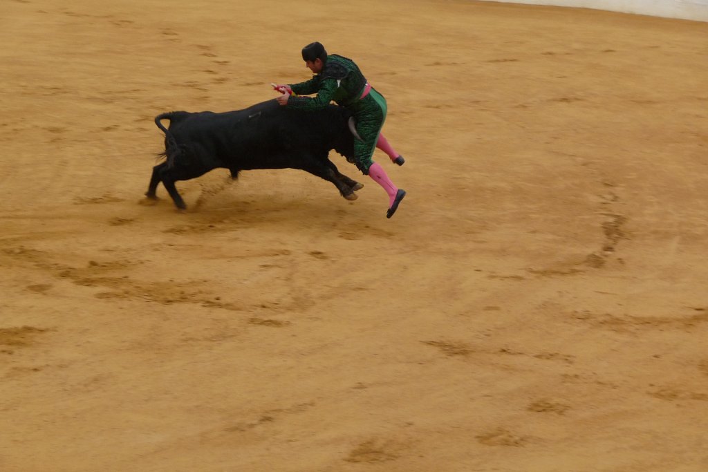 P1020189.JPG
