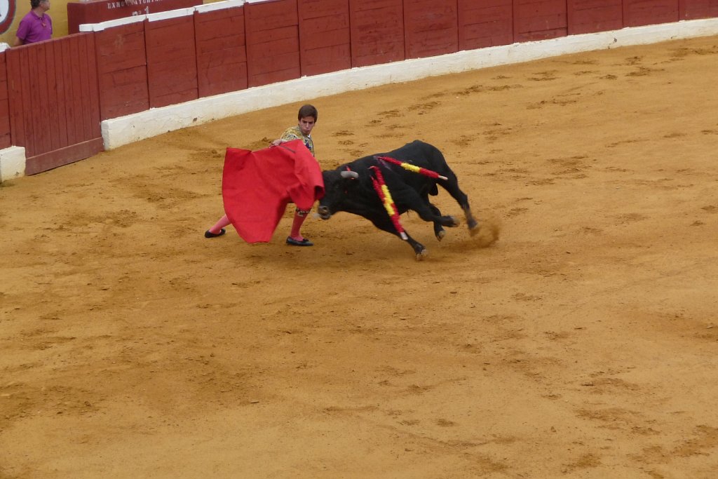 P1020190.JPG