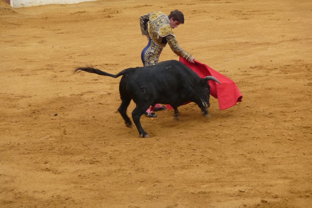 P1020198.JPG