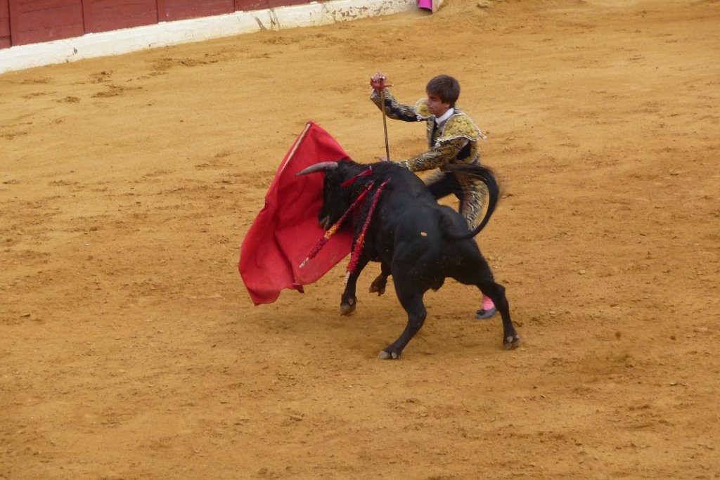 P1020206.JPG