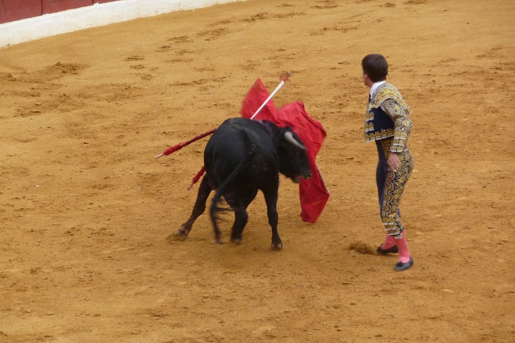 P1020207.JPG
