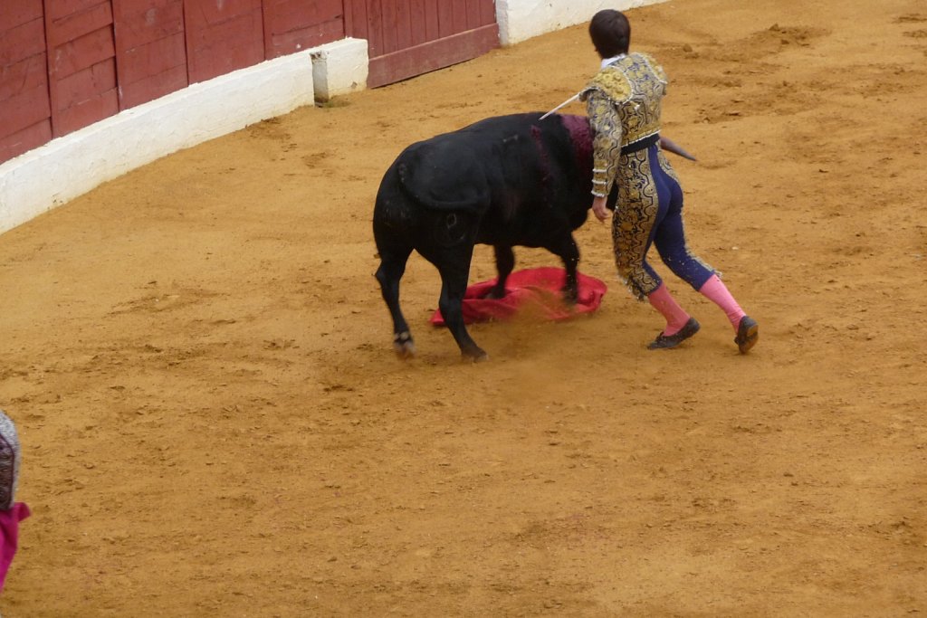 P1020208.JPG