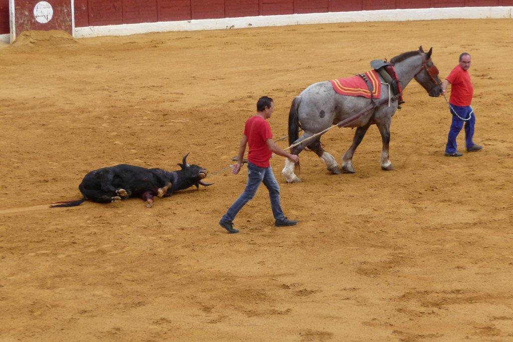 P1020212.JPG