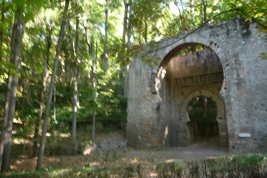 P1020226.JPG