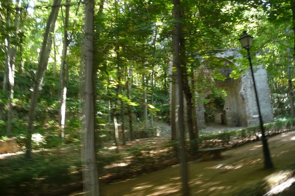 P1020227.JPG