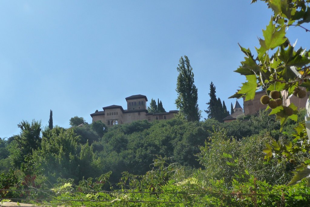 P1020237.JPG