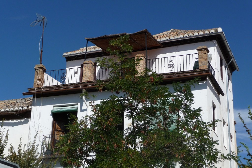 P1020241.JPG