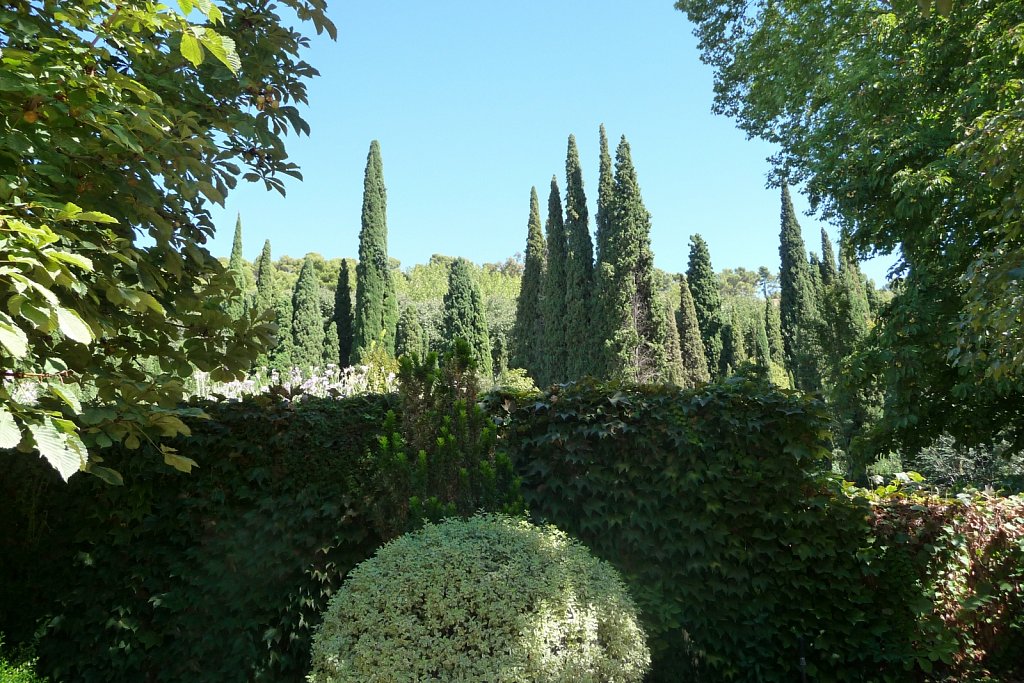 P1020251.JPG