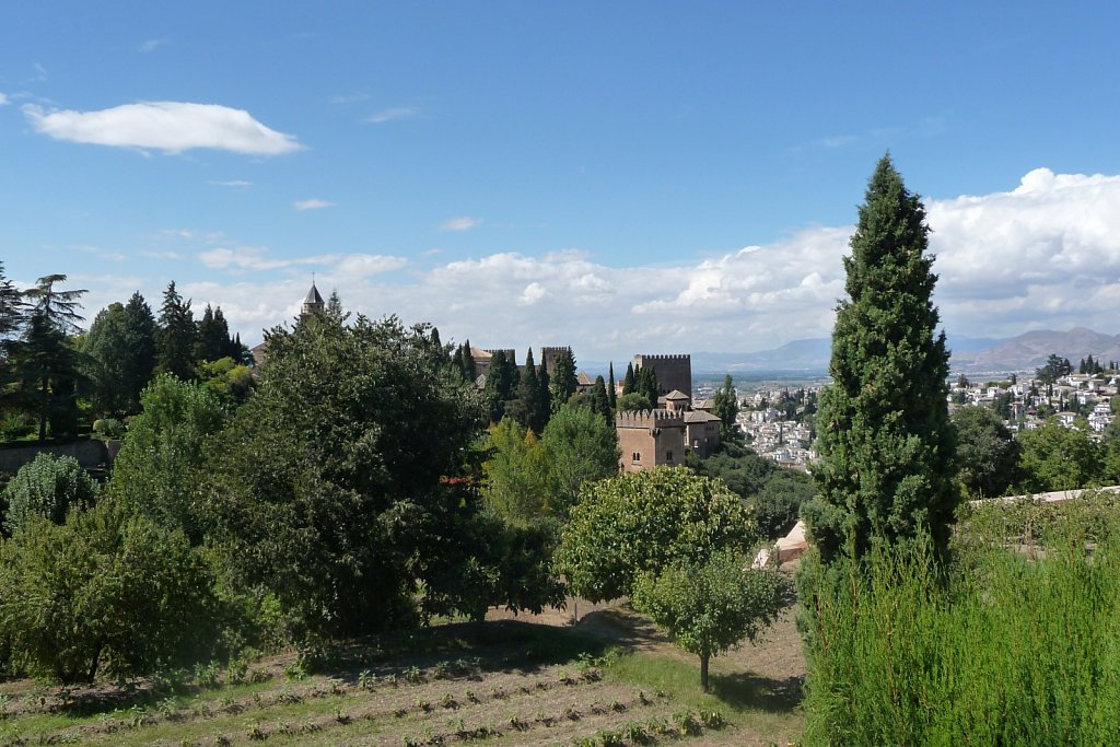 P1020257.JPG